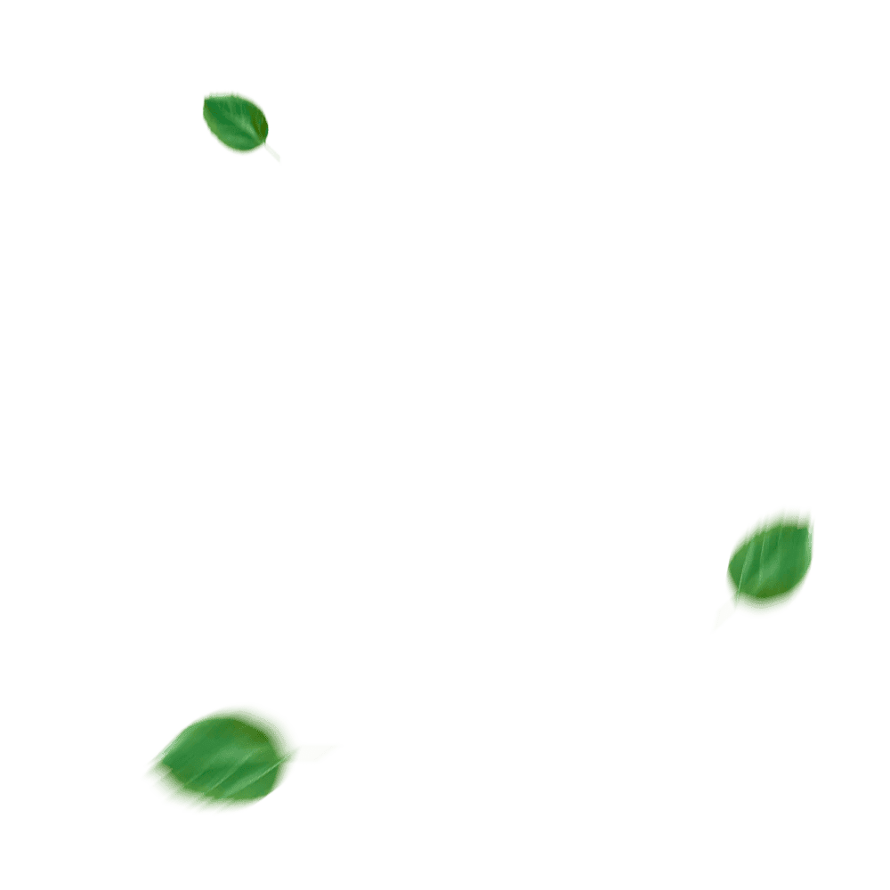 Листья на фоне окна